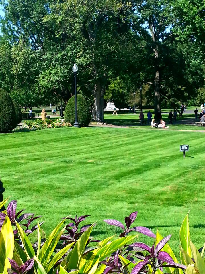 551161_10202212301538616_433814436_n