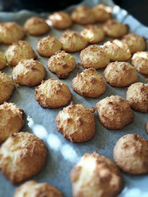 13281857_10210006228181911_1153441338_n