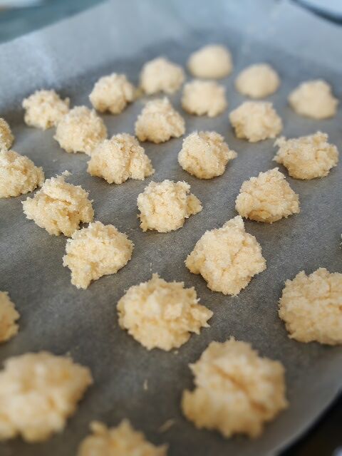 13282175_10210006228101909_73437863_n